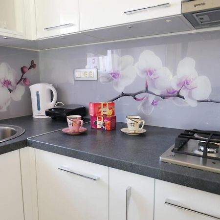 Apartman Teo &Tena Otočac المظهر الخارجي الصورة